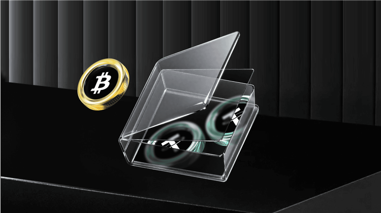 What is 安 (AN) Coin?